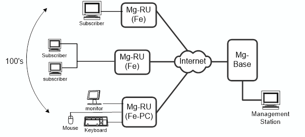 Magnesium deployment architecture