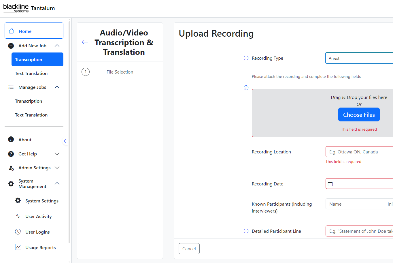Tantalum job submission screen for adding transcription and translation work